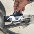 Is Your Air Conditioner Leaking Refrigerant? Here's How to Tell